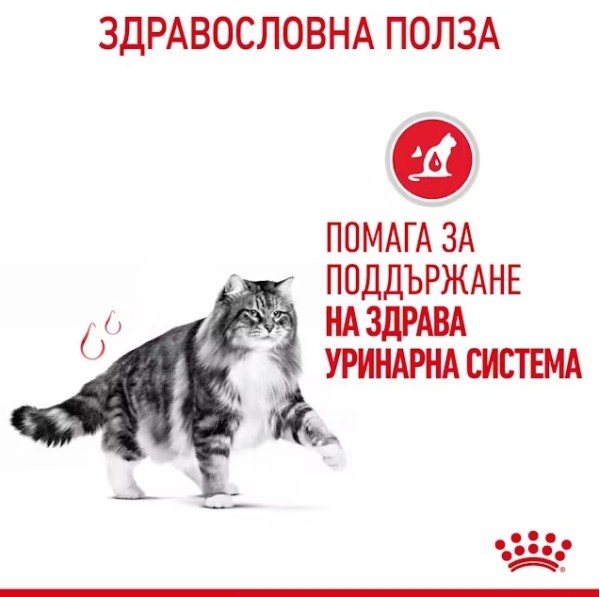 Royal Canin Cat Urinary Care - Пълноценна суха храна за котки над 12 месеца за поддържане здравето на уринарния тракт